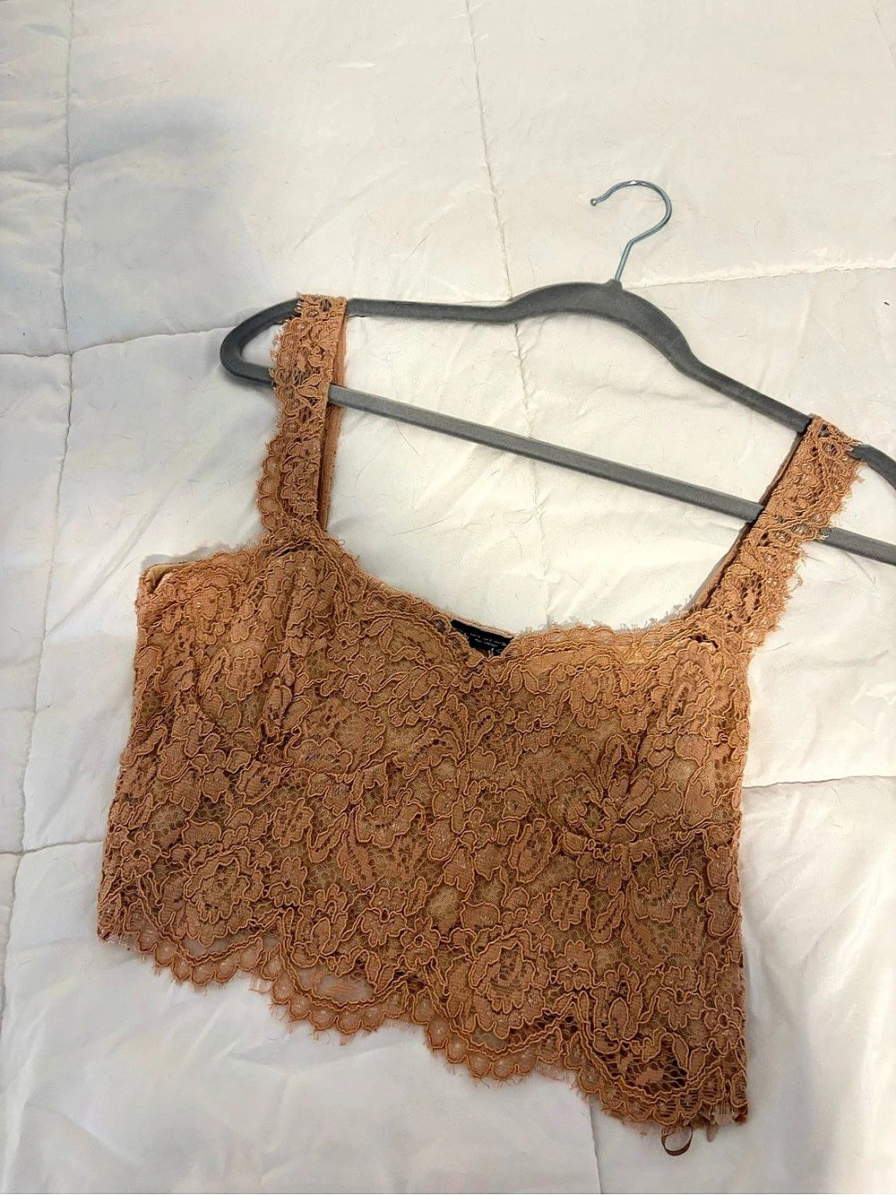 ZARA Lace Crop Top in Brown Like New